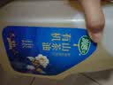 润心【保真山茶油】 有机油茶籽油 低温冷榨一级 食用油*2L 实拍图