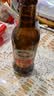 千島湖啤酒（CHEERDAY）精酿原浆230ml*24瓶180天短保全麦酿造聚会送礼热门商品 实拍图