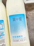 简爱开菲尔家庭装大桶酸奶 原味760g*1瓶 13种复合菌 乳酸菌早餐奶 实拍图