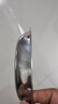 巨博（JOBO）304不锈钢盘子配菜盘碟子16cm 加厚圆盘备菜盘浅盘平底餐盘 实拍图