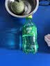 可口可乐（Coca-Cola）汽水碳酸饮料 300ml小瓶装系列饮料 雪碧300ml*6瓶 实拍图