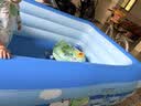 Bestway充气游泳池加厚可折叠水池儿童宝宝玩具家用戏水池蓝色青蛙2.1m 实拍图