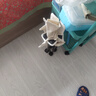 户外装备高品质车载便携亲子户外折叠椅用于露营钓鱼写生 白色中号33（无收纳袋） 实拍图