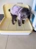 HELLOJOY狗狗厕所中小型犬防踩屎尿盆宠物用品小狗狗砂盆拉屎便盆专用大号 实拍图
