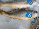 三都港 冷冻黄花鱼700g/2条装 宁德大黄鱼 深海鱼 生鲜 鱼类 海鲜水产 实拍图