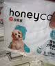 HONEYCARE好命家狗狗纸尿裤公狗尿不湿生理裤S适用体重4-10kg/12片装 实拍图