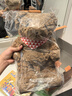 京东京造AI毛绒儿童玩具ai陪伴机器人学习机男女孩生日礼物娃娃玩偶圆月熊 实拍图
