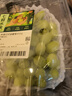 新疆无籽露葡萄450g 实拍图