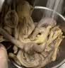 大用单冻鸡爪 2斤 冷冻鸡肉白羽鸡 卤鸡爪 长爪柠檬鸡爪食材 清真食品 实拍图
