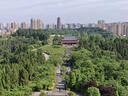 京东京造 120PSI高压打气筒双增压气压表 自行车摩托车电动车足篮球充气 实拍图