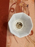 川秀开菲尔酸奶发酵菌粉10g kefir开菲尔Lgg益生菌自制酸奶发酵剂 实拍图