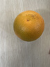 新奇士（Sunkist）澳大利亚蓝标早脐橙4粒 单果180g起 新鲜水果 实拍图