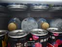 元气森林 益生元乳酸菌味气泡水（风味饮料）480ml*15瓶 实拍图