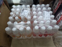 依能 日向夏橘味苏打水 无糖无汽弱碱 0脂饮料 500ml*24瓶 塑膜装 实拍图