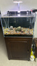森森鱼缸增氧泵水族箱氧气泵LQE-200家用小型充氧泵4W双孔+全套配件 实拍图