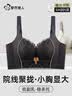 都市丽人【桑蚕丝养肤】内衣女聚拢小胸显大上托防下垂无钢圈10A抗菌文胸 实拍图