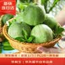 京鲜生 绿宝香瓜甜瓜  净重3斤起 3-6粒装 生鲜水果 实拍图