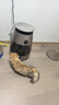 追觅【春晚同款】AP10宠物空气净化器强力吸猫毛除浮毛室内除尘除过敏原家用除异味养猫专用AP10 实拍图