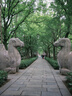 松下S9（18-40mm F4.5-6.3）套机 （Panasonic）全画幅微单 实时Lut 滤镜直出 连接app极速分享-灰银 实拍图