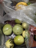 英科医疗（INTCO）一次性手套丁腈手套100只小码加厚餐饮丁晴白色食品级橡胶手套 实拍图