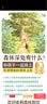 森林旅馆  带娃神器 暖萌治愈 “大排长龙”作者福泽由美子暖心作品 温馨的故事情节3-6岁（启发出品） 实拍图