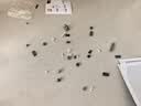 森宝积木流浪地球箱式运载车拼装玩具男孩大型运兵车成人收藏组装模型摆件 月面运输车【1339片】配灯光 实拍图