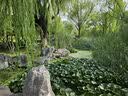 曼牌滤清器（MANNFILTER）机油滤清器油滤芯W712/90M/W7158高尔夫宝来朗逸POLO明锐途安迈腾 实拍图