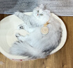 怡宝 饮用水 纯净水6L*3桶装水 整箱装 实拍图