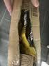 乐事（Lay's）薯片 经典原味 75克 休闲零食 膨化食品 【王鹤棣推荐】 实拍图