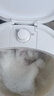 VCJ洗衣机半全自动迷你洗衣机小型洗脱一体小型家用母婴内衣裤洗袜子神器儿童单身人宿舍出租房 新4.5KG【立体水洗去污*定时降噪快洗】珍珠白 实拍图