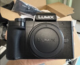 松下（Panasonic）Lumix G100D M43画幅相机 M43卡口 微单相机 无反数码相机 G100D单机+【25mmF1.7】单镜头定焦 实拍图