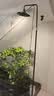三思植物补光灯仿太阳全光谱 全光谱植物灯 盆栽绿植-125W落地遥控灯 实拍图