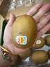 佳沛（zespri）新西兰阳光金奇异果巨大果22粒原箱单果146-175g 猕猴桃水果礼盒 实拍图