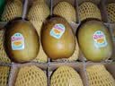 佳沛（zespri）新西兰阳光金奇异果18粒礼盒优选果单果103-124g 猕猴桃水果礼盒 实拍图