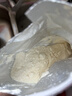 佳贝艾特（Kabrita）悦白较大婴儿配方羊奶粉2段(6-12个月)150克 羊奶小分子 实拍图