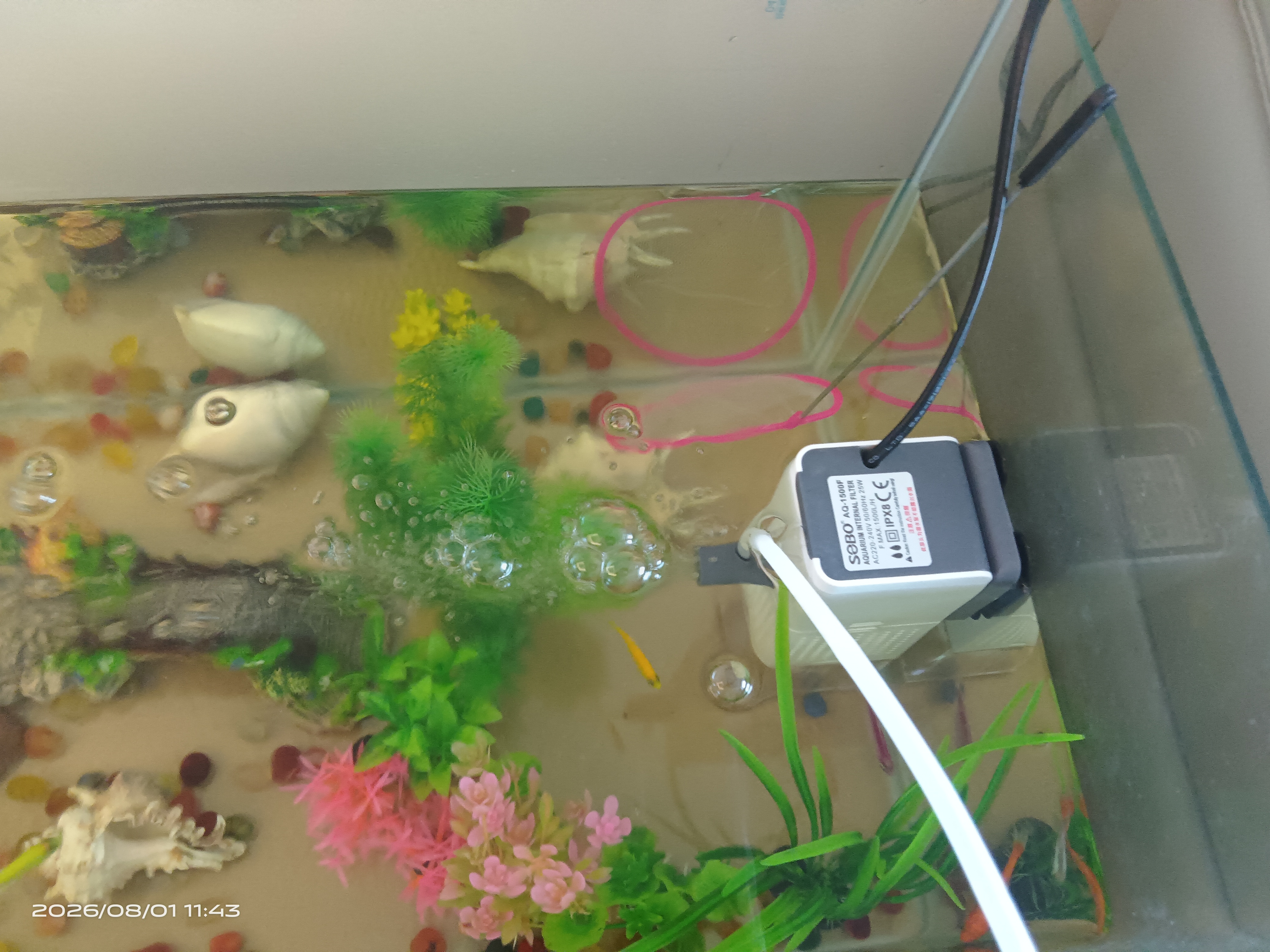 萌嘟星宠仿真水草鱼缸造景套装水族箱布景装饰摆件假植塑料假水草 11件套 实拍图