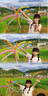 佳能（Canon）EOS 200D2 II 二代 迷你单反相机 4K Vlog视频直播 高清美颜照相机 18-55mm标准变焦 旅行畅玩套装 实拍图