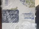 蒙牛特仑苏嗨Milk脱脂纯牛奶250ml*10盒 0脂肪 精美京绣 送礼礼盒 实拍图