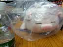 名创优品（MINISO）小猪玩偶猪抱枕毛绒公仔玩偶睡觉抱枕七夕情人节送女生可爱萌 小猪B-BO翅膀款 实拍图