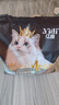 亿迪猫粮冻干幼猫成猫10斤全价英短蓝猫布偶老年猫国产通用全阶段5kg 实拍图