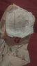 好奇（Huggies）铂金装小桃裤成长裤XL96片(12-17kg)加大号尿不湿【夏季散热王】 实拍图