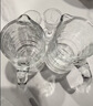 青苹果白酒杯分酒器套装 加厚玻璃一口杯品鉴小酒杯烈酒杯二两杯分酒壶 实拍图