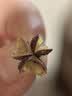 虎顿防盗门锁芯入户门钢质门不锈钢门通用铜锁芯出租屋装修AB锁DT90PB 实拍图