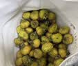 鲜级佳野生刺梨贵州特产【顺丰冷链】鲜果维C泡酒泡茶现摘农产品水果 净重鲜果3斤【普通冷链】 高山野生 颗颗甄选 实拍图