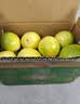 佳沛（zespri）新西兰阳光金奇异果10粒巨大果单果146-175g 猕猴桃水果礼盒 实拍图