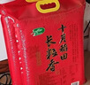 十月稻田 长粒香大米 10斤（东北大米 香米 5kg/公斤） 实拍图
