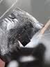 碧柔（Biore）花王女士毛孔清洁鼻贴10片撕拉面膜鼻膜去黑头粉刺 实拍图