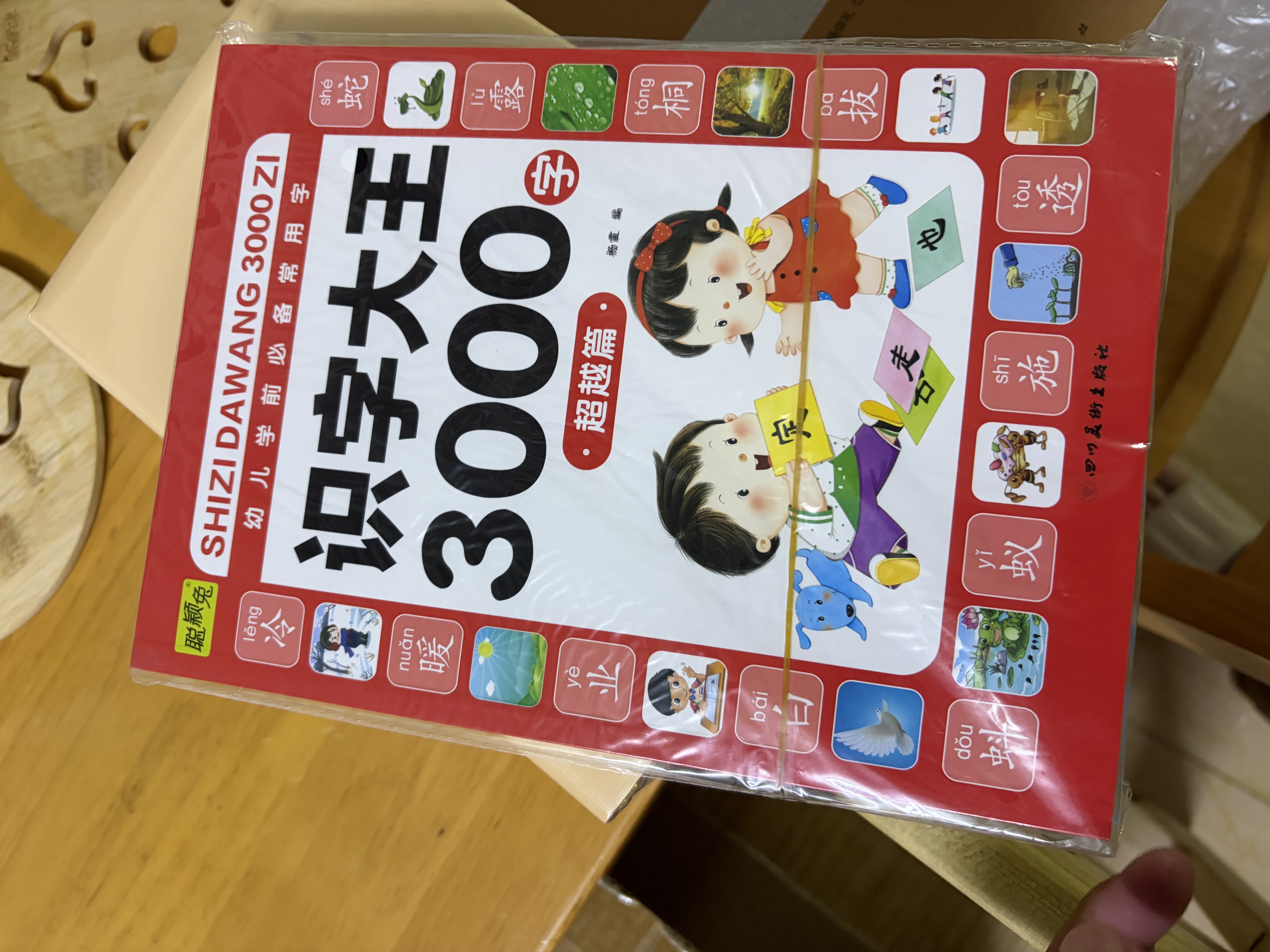 学前800字点阵控笔描红本 幼小衔接儿童分级写字套装 一日一练轻松控笔 阶梯式描摹训练 学前800字【第二册】(入门) 无规格 实拍图