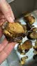 京鲜生云南【新鲜黑牛肝】净重1斤特产鲜菌菇煲汤火锅食材源头直发 实拍图