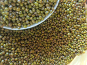十月稻田 绿豆 5斤 可发豆芽 打豆浆 东北五谷杂粮 粗粮 大米伴侣 实拍图